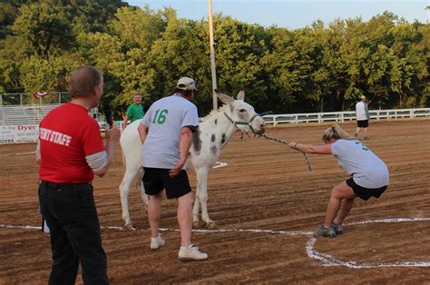 Thrilling Donkey Softball games - Fun for all ages!